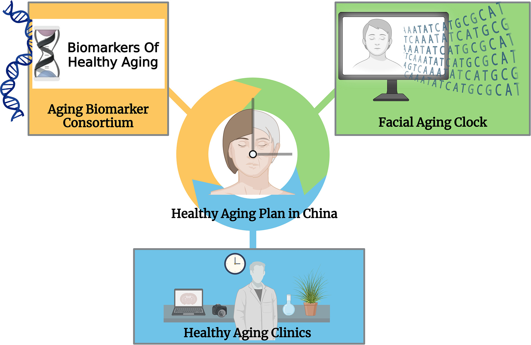 Image for Skin Aging Research Enters a New Era in China