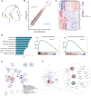 Image for Keratinocyte-Immune Cell Crosstalk in a STAT1-Mediated Pathway: Novel Insights Into Rosacea Pathogenesis