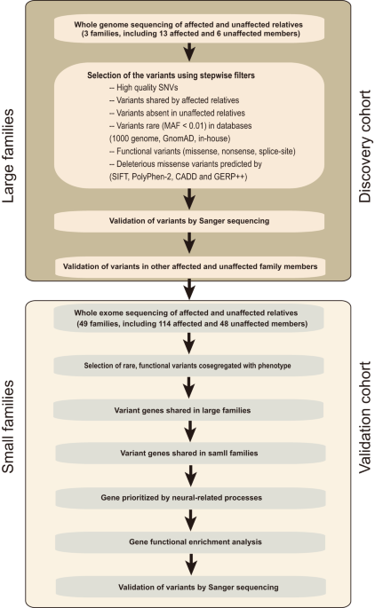 Image for Whole genome sequencing identifies genetic variants associated with neurogenic inflammation in rosacea