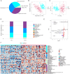 Image for Arginine Metabolic Disruption Impairs Hair Regeneration via ROS-Mediated Inactivation of mTOR Signaling in Androgenetic Alopecia