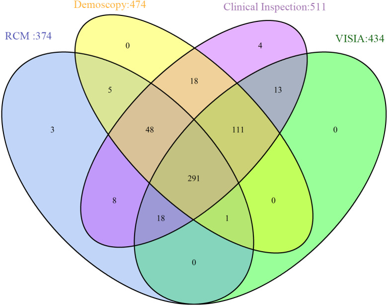 Image for A novel multi-layer perceptron model for assessing the diagnostic value of non-invasive imaging instruments for rosacea