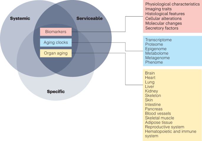 Image for The Aging Biomarker Consortium represents a new era for aging research in China