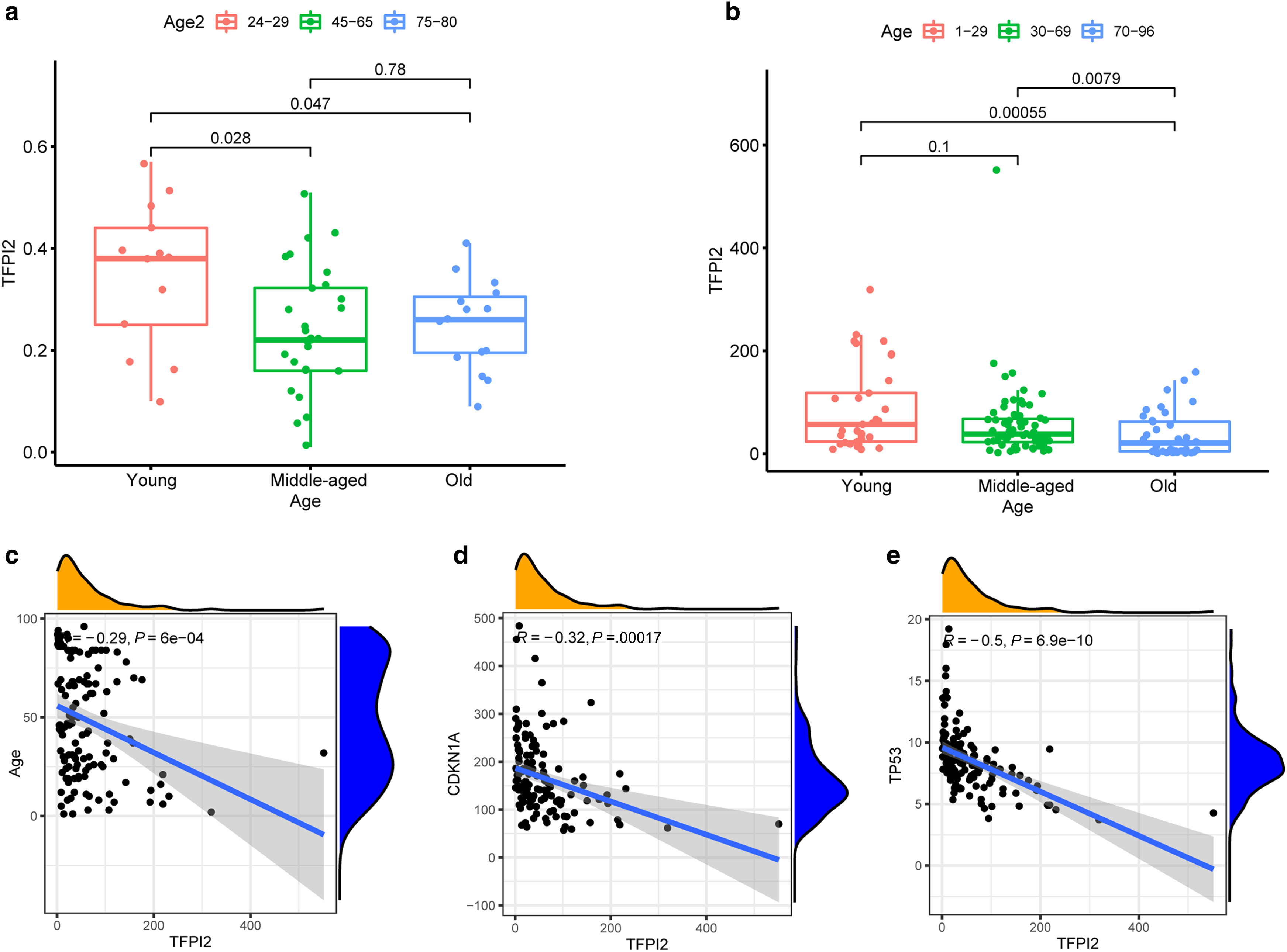 Image for Downregulated TFPI2 Accelerates Skin Aging by Repressing the Cell Cycle through Phosphoinositide 3-Kinase/Protein Kinase B/CDC6 Pathway