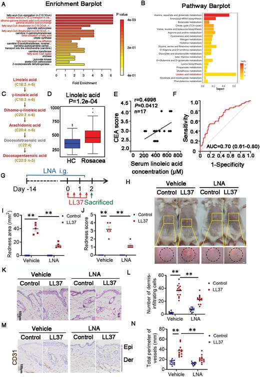 Image for Linoleic acid improves rosacea through repairing mitochondrial damage in keratinocytes