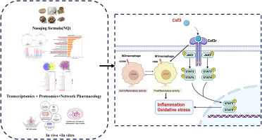 Image for Naturally-occurring carnosic acid as a promising therapeutic agent for skin inflammation via targeting STAT1