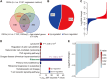 Image for ETS1 acts as a regulator of human healthy aging via decreasing ribosomal activity