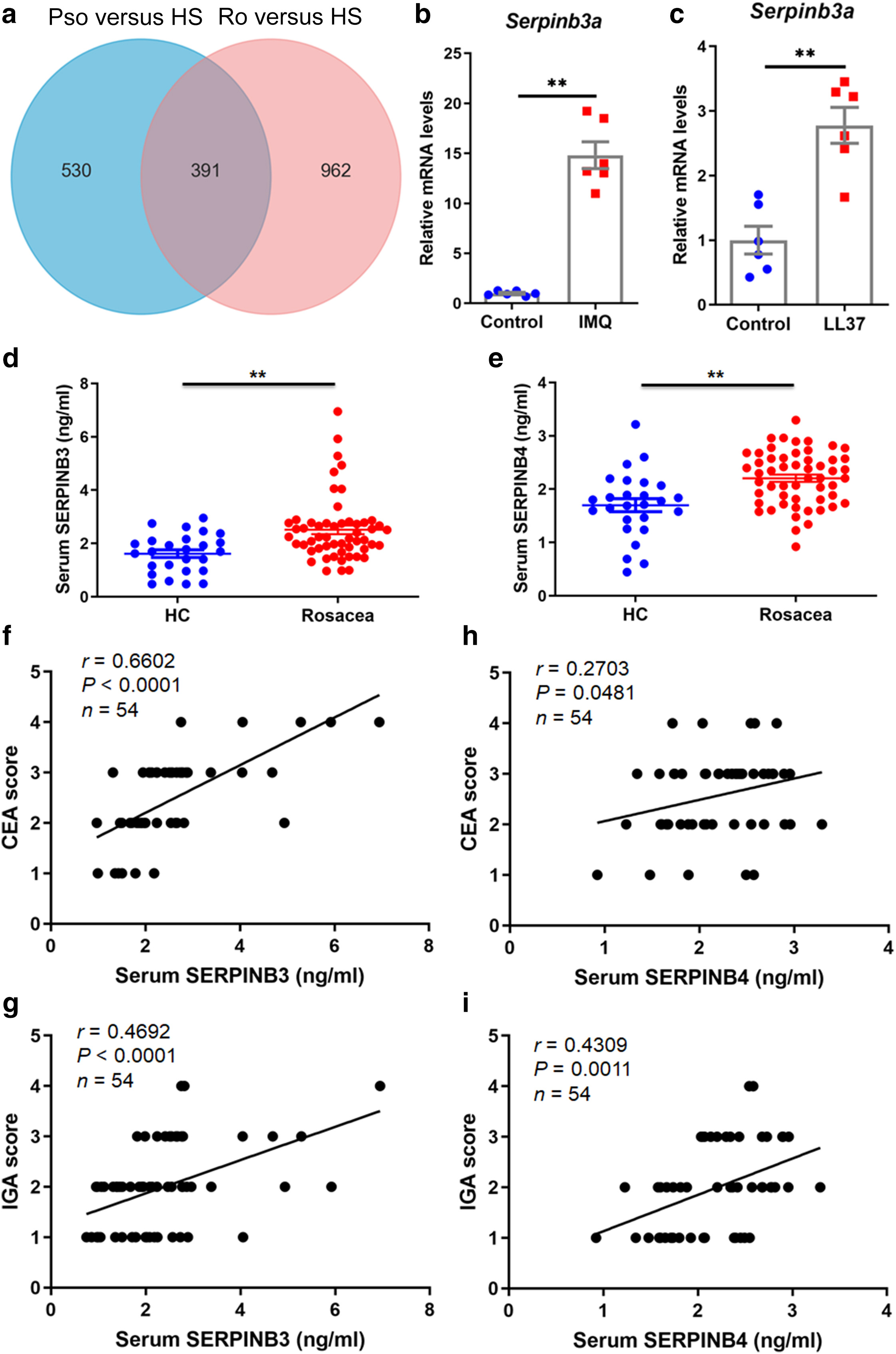 Image for SERPINB3/B4 Is Increased in Psoriasis and Rosacea Lesions and Has Proinflammatory Effects in Mouse Models of these Diseases