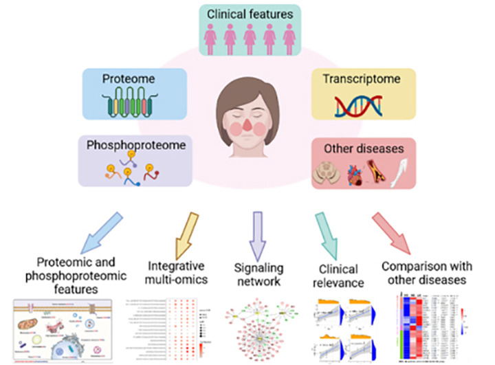 Image for Integrated Omics Reveal the Molecular Characterization and Pathogenic Mechanism of Rosacea