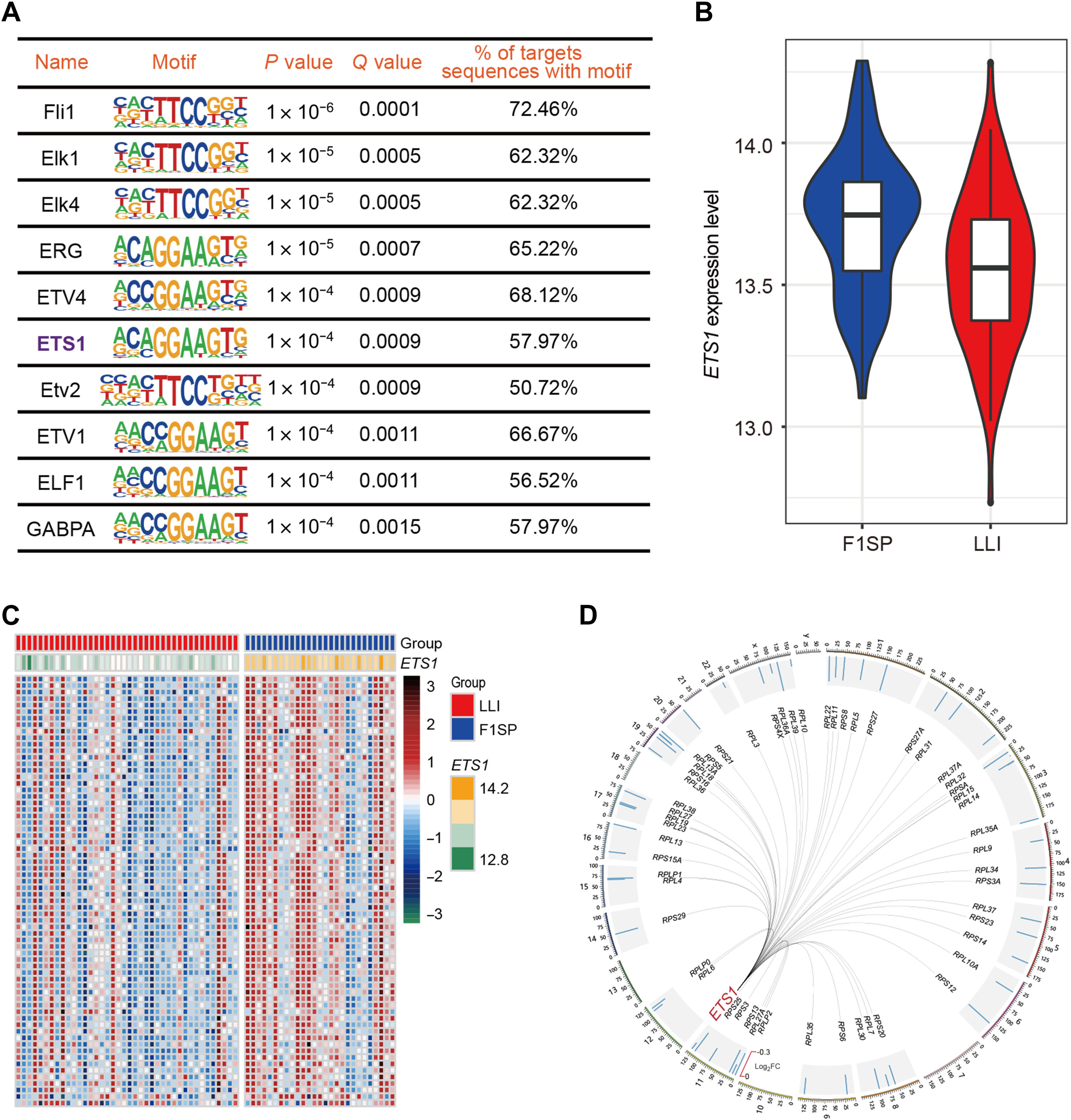 Sci Adv 2022 — ETS1 调控健康衰老